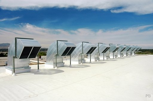 (00032) DSC_1421.jpg